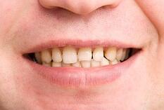 8798369_s-resized-600
